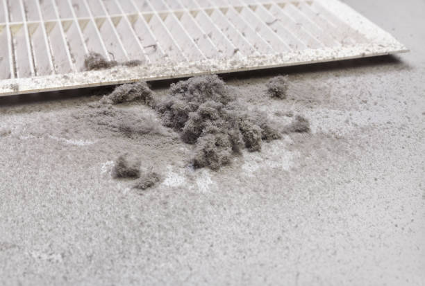 Best Ventilation Cleaning Services  in Van Meter, IA