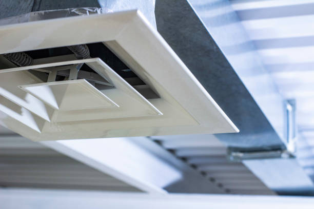 Air Duct Mold Removal in IA