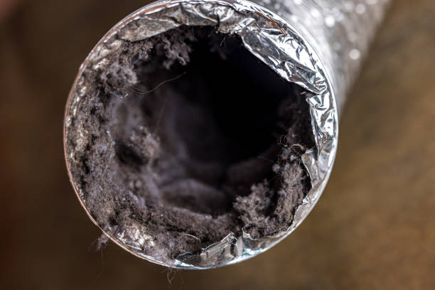 Best Best Air Duct Cleaning Company  in Van Meter, IA