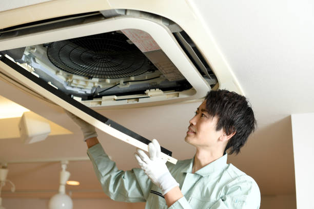 Best Air Vent Cleaning Services  in Van Meter, IA