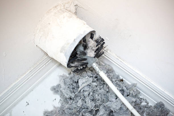 Best Air Duct Cleaning Near Me  in Van Meter, IA